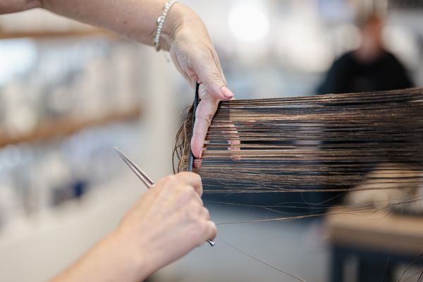 Sandra's Haircare impressie kapsalon