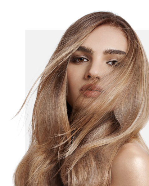 Sandra's Haircare tarieven highlights
